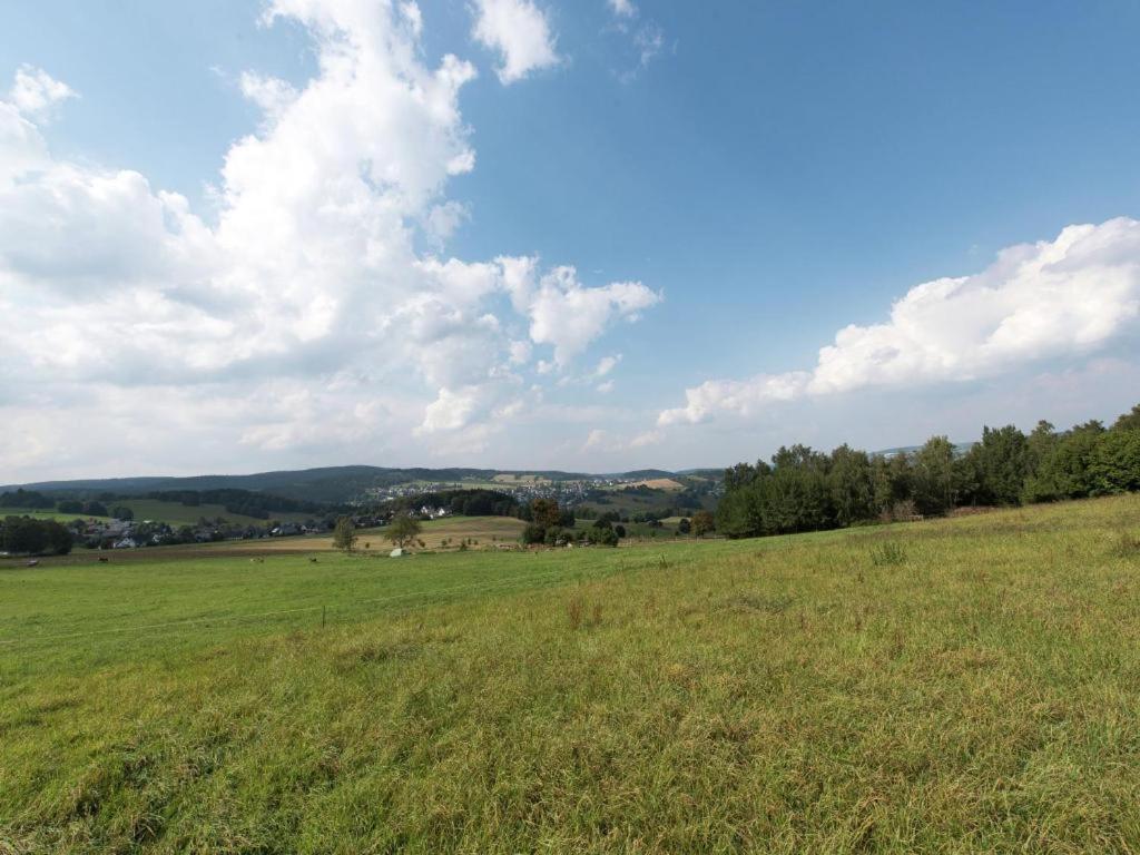 Ferienwohnung Ripa Erzgebirge In Schwarzenberg 슈바르첸베르크 외부 사진